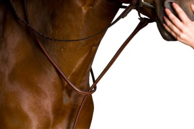 Kincade Flat Standing Breastplate
