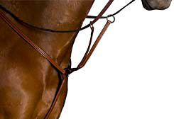 Kincade Raised Running Breastplate