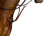 Kincade Raised Running Breastplate