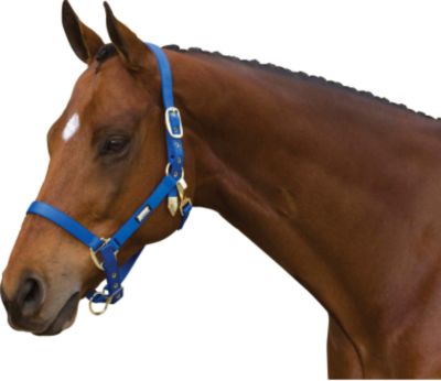 Roma Continental Halter