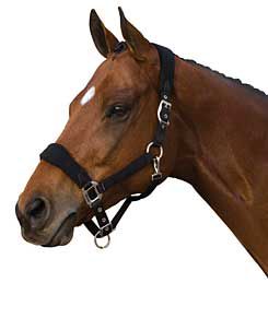 Roma Fleece Shaped Halter