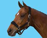 Roma Fleece Shaped Halter