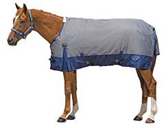 Saxon 600D Standard Neck Medium Weight Horse Blanket