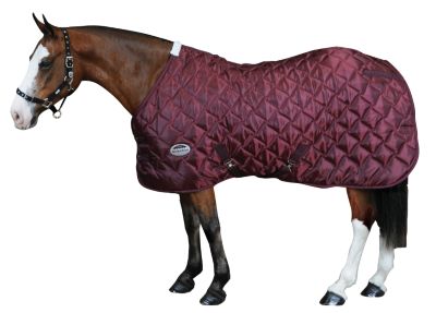 WeatherBeeta Jasper Wave Quilt Standard Neck Stable Blanket