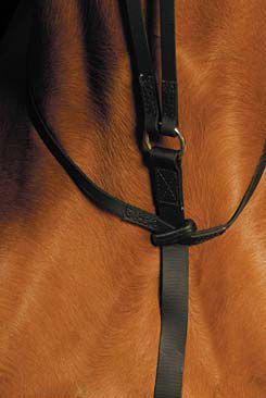 Wintec Running Martingale