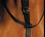 Wintec Running Martingale
