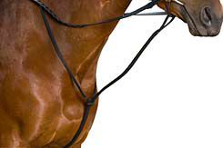 Wintec Standing Martingale