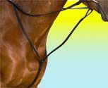 Wintec Standing Martingale