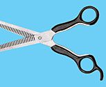 Roma Collection Thinning Sheers