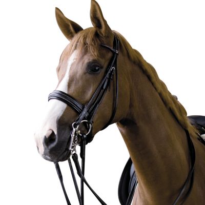 Bates Isabell Werth Satchmo Double Bridle Best Price
