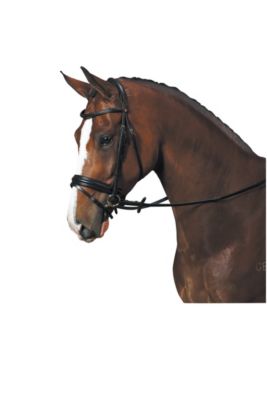 Bates Isabell Werth Apache Bridle Best Price