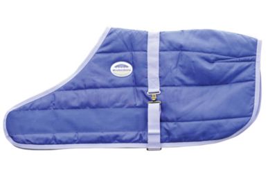 WeatherBeeta Newborn Foal Blanket Best Price