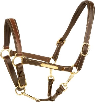 Isabell Werth Fidelity Halter Best Price