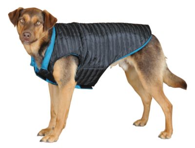 Weatherbeeta Jazz Dog Blanket