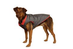Weatherbeeta Jazz Dog Blanket
