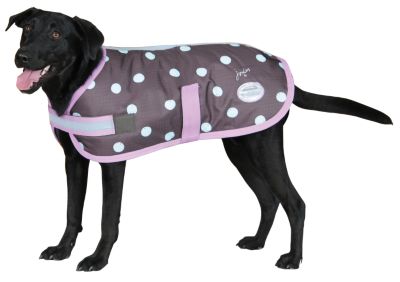 WeatherBeeta Joules Dog Blanket