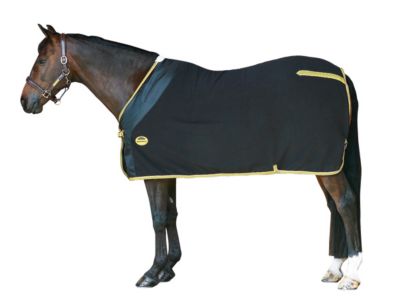 Weatherbeeta Fleece Dress Sheet Best Price