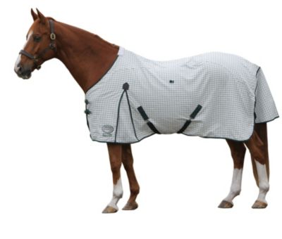 WeatherBeeta Summer Standard Neck Horse Sheet Best Price