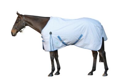 Kool Coat Cotton Standard Neck Horse Sheet Best Price