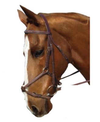 Collegiate Figure 8 Noseband Bridle Best Price