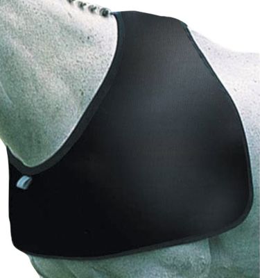 Roma Satin Shoulder Guard Best Price