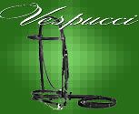 Vespucci Plain Raised Dressage Pony Bridle with Flash