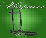 Vespucci Plain Raised Dressage Bridle with Flash