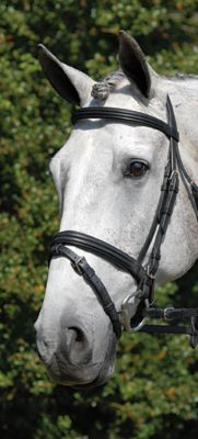 Vespucci Double Raised Snaffle Dressage Bridle Best Price