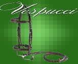 Vespucci Fancy Raised Hunter Bridle