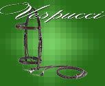 Vespucci Plain Raised Hunter Bridle