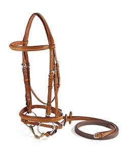 Vespucci Fancy Raised Jumper Bridle with Flash