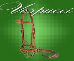 Vespucci Fancy Raised Jumper Bridle with Flash