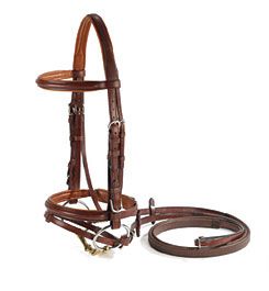 Vespucci Plain Raised Jumper Bridle with Flash