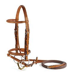 Vespucci Square Raised Jumper Bridle with Flash