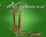 Vespucci Square Raised Jumper Bridle with Flash