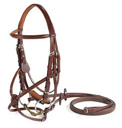 Vespucci Square Raised Figure 8 Jumper Bridle