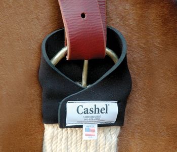 Cashel Original Ring Master Cinch Protector