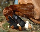 Equilibrium Tri Zone Tendon Boots