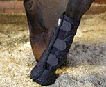 Equilibrium Equi Chaps Stable Chaps