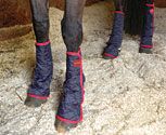 Equilibrium Magnetic Therapy Chaps