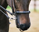 Equilibrium Net Relief Muzzle Net