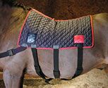 Equilibrium Magnetic Therapy Back and Quarter Pads