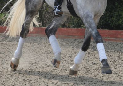 Equilibrium Tri Zone Stretch and Flex Bandages