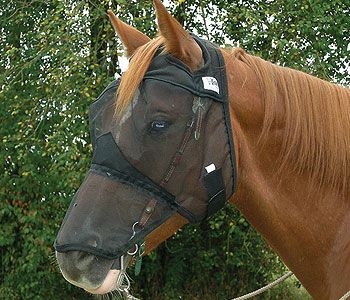 Cashel Quiet Ride Long Fly Mask