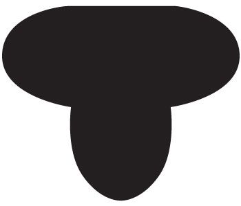 Cashel Race Exercise Shaped Cushion Saddle Pad