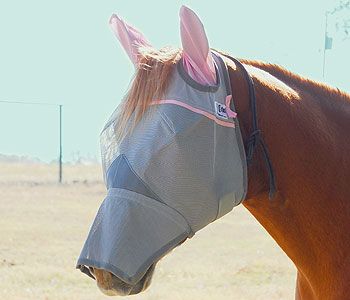 Cashel Pink Crusader Long Nose Fly Mask with Ears