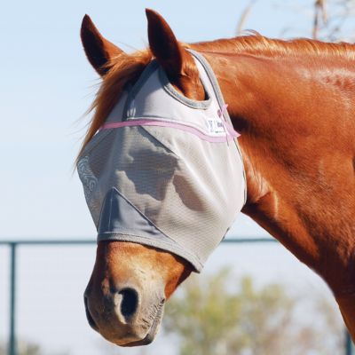 Cashel Pink Crusader Standard Fly Mask
