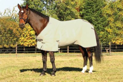 Cashel Crusader Fly Sheet