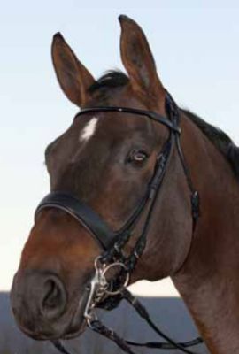 Vespucci Rolled Leather Weymouth Bridle Best Price