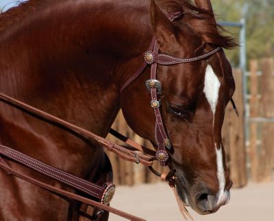 Weaver Desert Blossom Browband Headstall